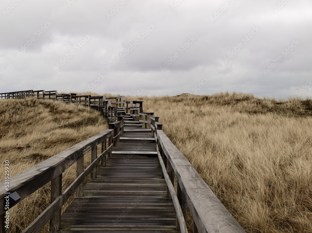 path at the dunes - sylt - northsea - westerland