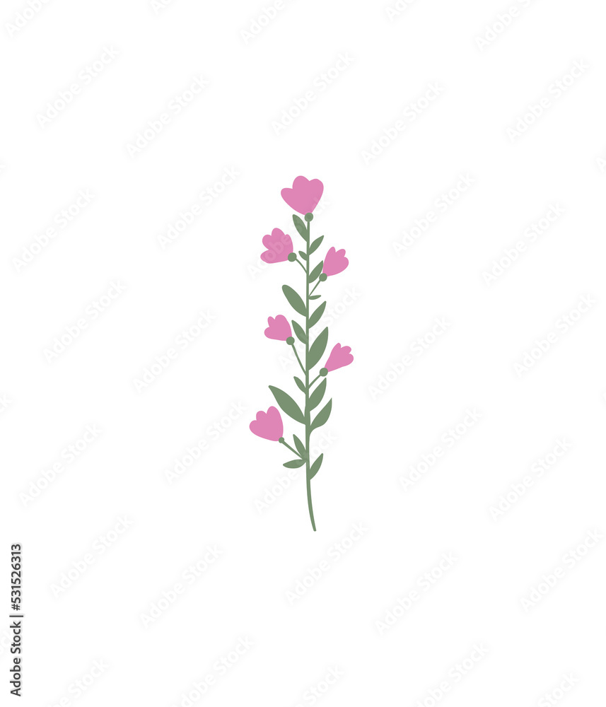 A colorful simple flower. Botanical design element. 