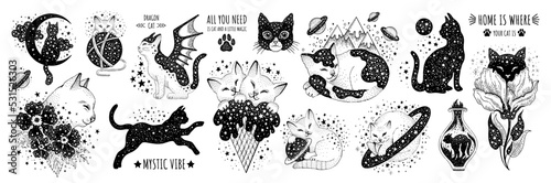 Space cats set. Mystic anime art. Gothic witch esoteric tattoo. Black galaxy cat. Halloween astrology animal. Cute astronaut star tattoo drawing. Witchcraft vintage vector. Magic boho Saturn, mountain