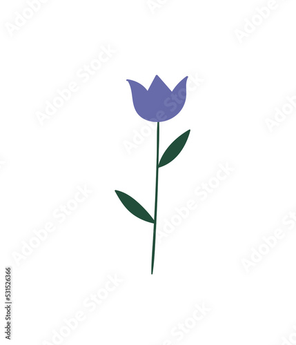 A colorful simple flower. Botanical design element. 