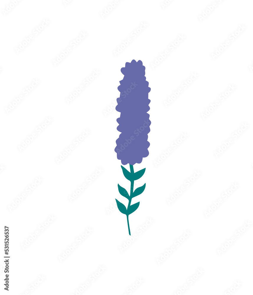 Floral design element. Botanical detail in a simple minimalist style. Floral design element. Botanical detail in a simple minimalist style.