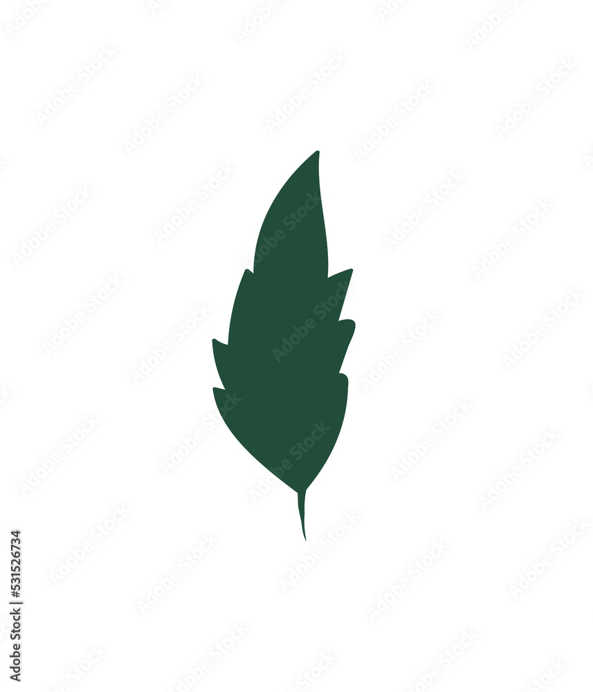Floral design element. Botanical detail in a simple minimalist style. Green leaf. Floral design element. Botanical detail in a simple minimalist style. Green leaf.