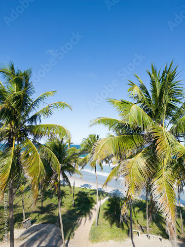 Praia do Francês - Alagoas © Sonar