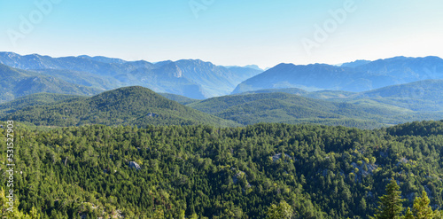 Fototapeta Naklejka Na Ścianę i Meble -  Harmony of Mountain and Forest
