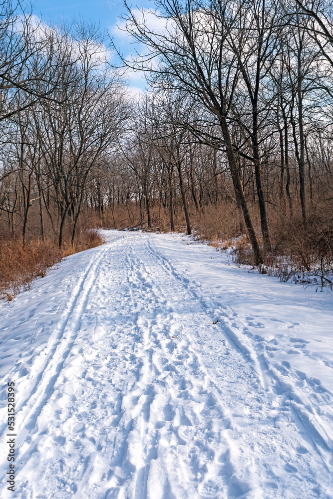 Busy Trail in the Winter Snow Busy Trail in the Winter Snow