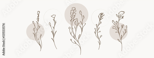 A collection of herbs in a modern linear style on a nude background. Herbal set. Banner.