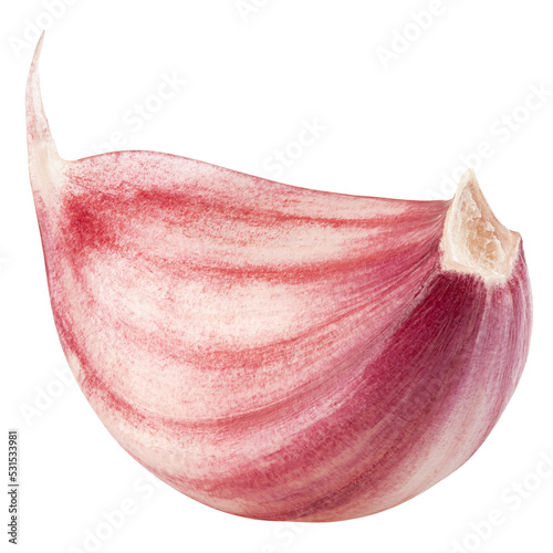 Garlic clove isolated on white background, clipping path, full depth of field