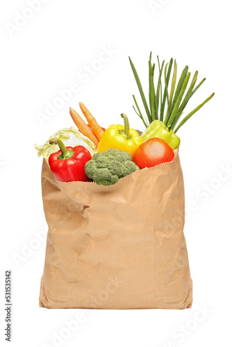 Grocery bag full of fresh vegetables