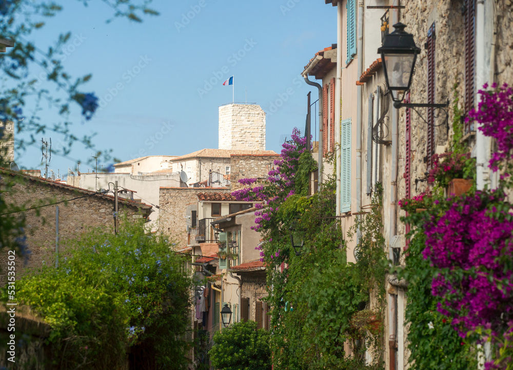 Grimaldi castle tower in Antibes city center from a flowered narrow street