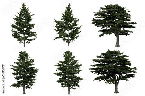 3d rendering of  Cedrus Libani PNG vegetation tree for compositing or architectural use. No Backround. 