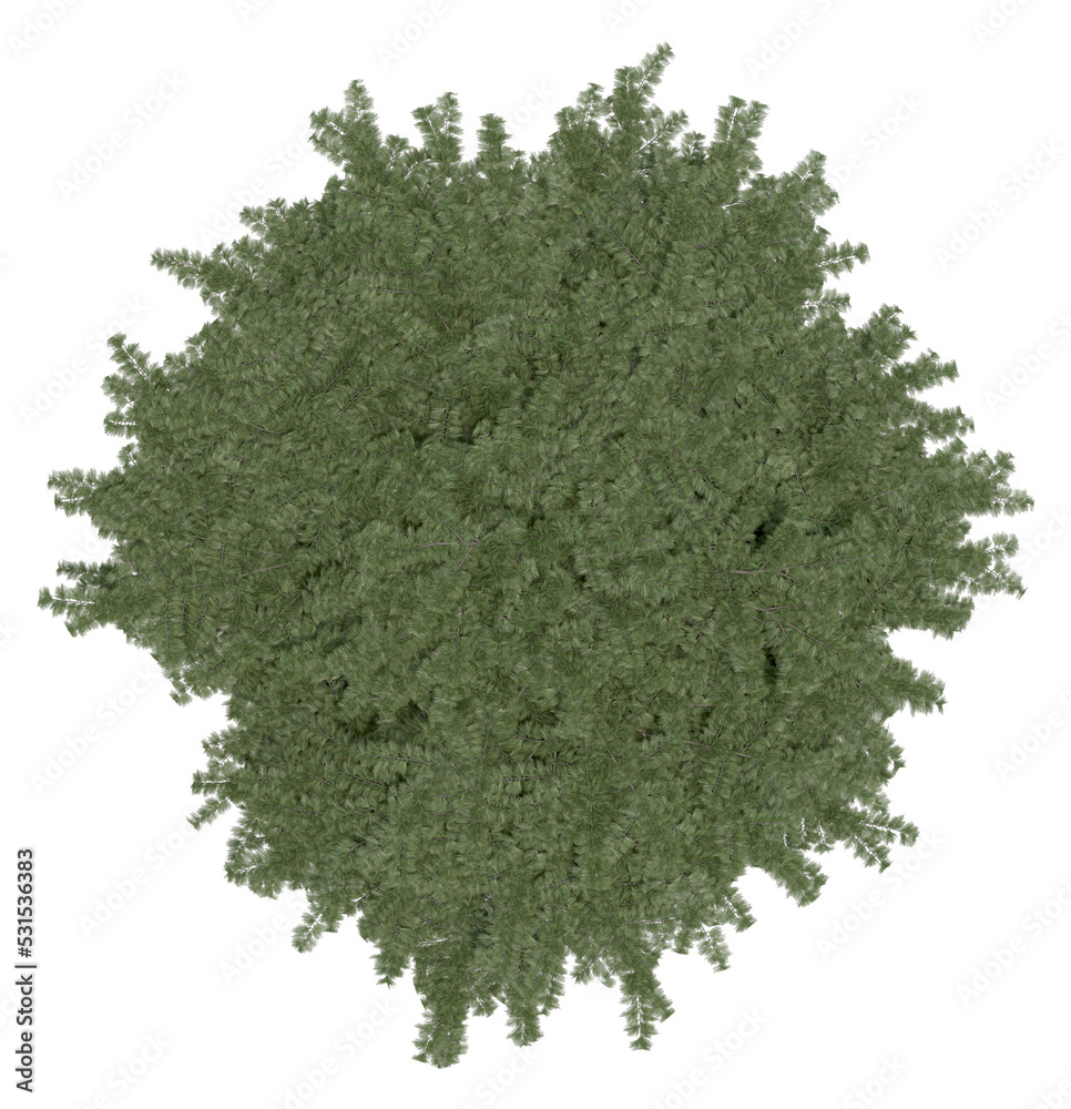 Obraz premium 3d rendering of Cedrus Libani PNG vegetation tree for compositing or architectural use. No Backround. 