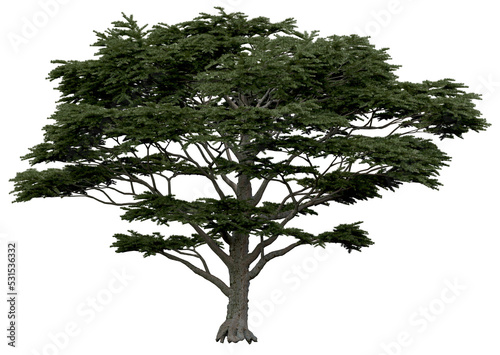 3d rendering of  Cedrus Libani PNG vegetation tree for compositing or architectural use. No Backround. 