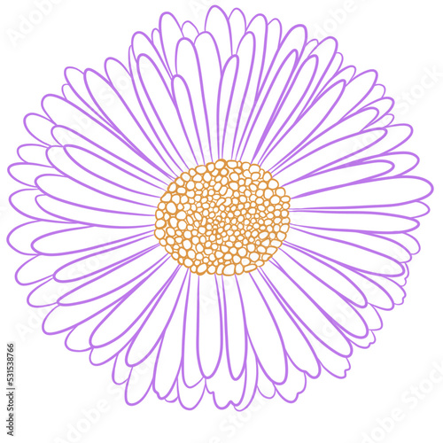 the daisy flower is represented by a line. a sketch for printing or embroidery, tattoo, design, interior, etc.