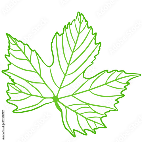 the flower leaf is represented by a line. a sketch for printing or embroidery, tattoo, design, interior, etc.