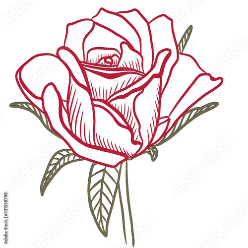 the rose flower is represented by a line. a sketch for printing or embroidery, tattoo, design, interior, etc.