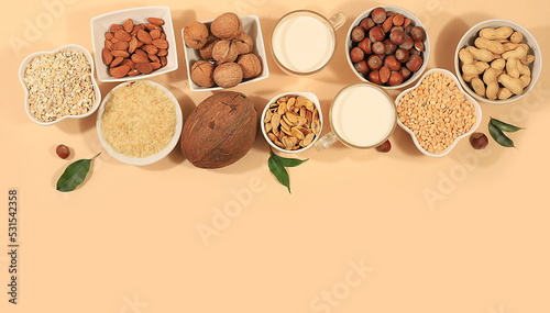 Assortment of vegan non-dairy products on light table, shop banner, plant-based alternative dairy products - milk, cream, yogurt, cheese, nuts, rice, oatmeal, lentils, healthy natural food concept