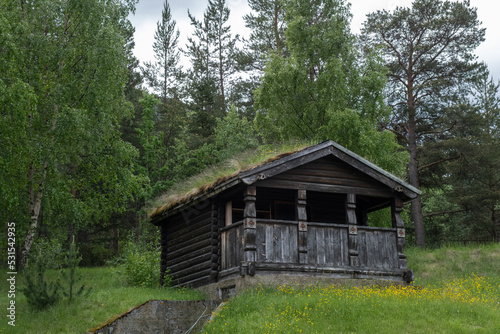 Wonderful landscapes in Norway. Innlandet. Beautiful scenery of houses with grass roof. Norwegian traditional architecture. Mountains and trees in background. Cloudy day. Selective focus
