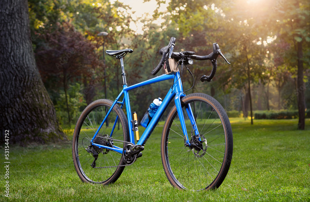 Close up professional gravel bicycle with different accessories in the park at a fall. Sport and leisure.