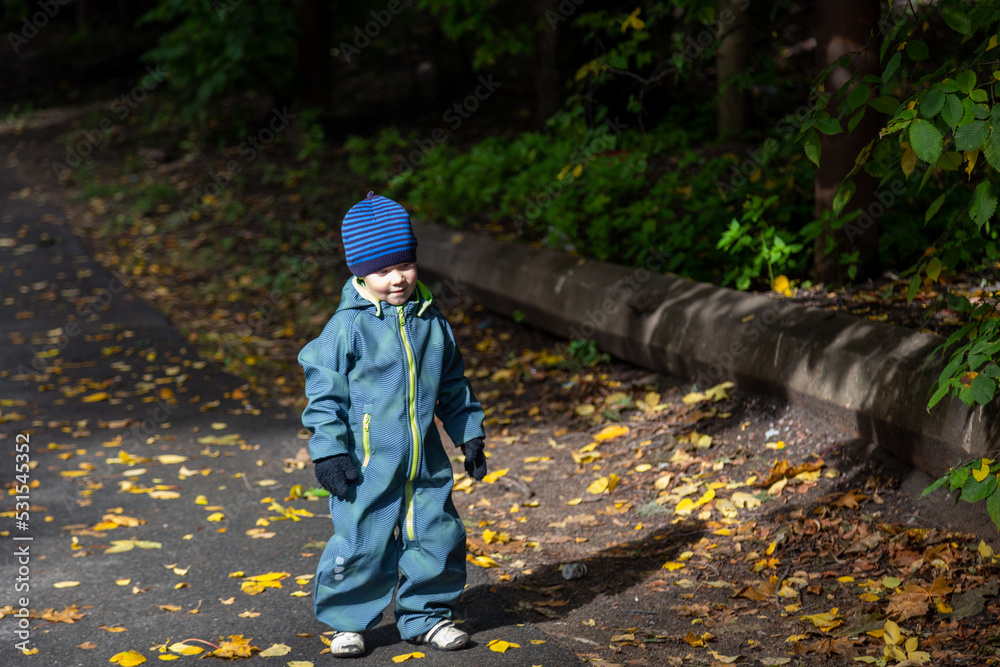 A two-year-old toddler boy sits on the road in autumn and examines the autumn fallen maple leaves on the floor. A two-year-old toddler boy sits on the road in autumn and examines the autumn fallen maple leaves on the floor.