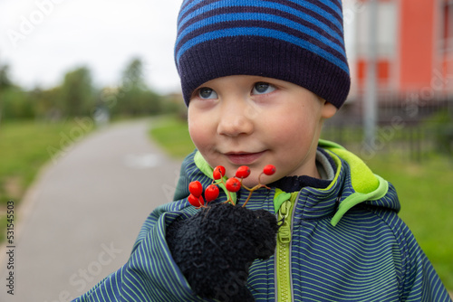 
A two-year-old boy in autumn on the road with a rowan branch in his hands smiles on the street
