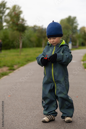 
A two-year-old boy in autumn on the road with a rowan branch in his hands smiles on the street