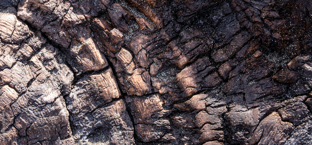 Close up of drift wood. Ideal because of texture for backdrops or backgrounds. Close up of drift wood. Ideal because of texture for backdrops or backgrounds.