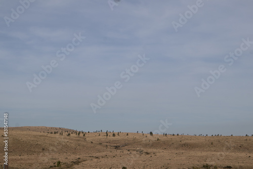 Highland desert in southern Brazil