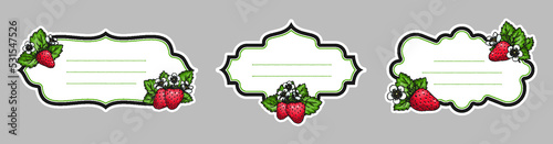 Strawberries vintage labels with realistic handdrawn berries flowers leaves. Strawberry frames with space for text. Farmers market eco product badge. Sticker for jam marmalade juice cocktail fresh