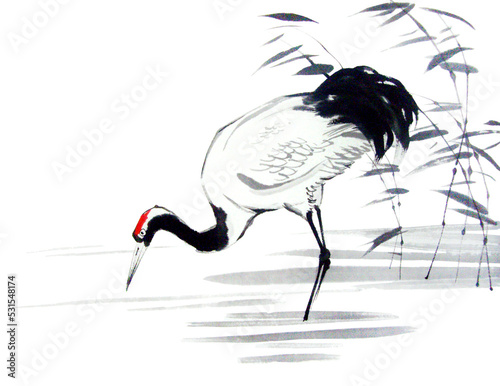 Watercolor illustration of crane. Traditional chinese ink and wash painting