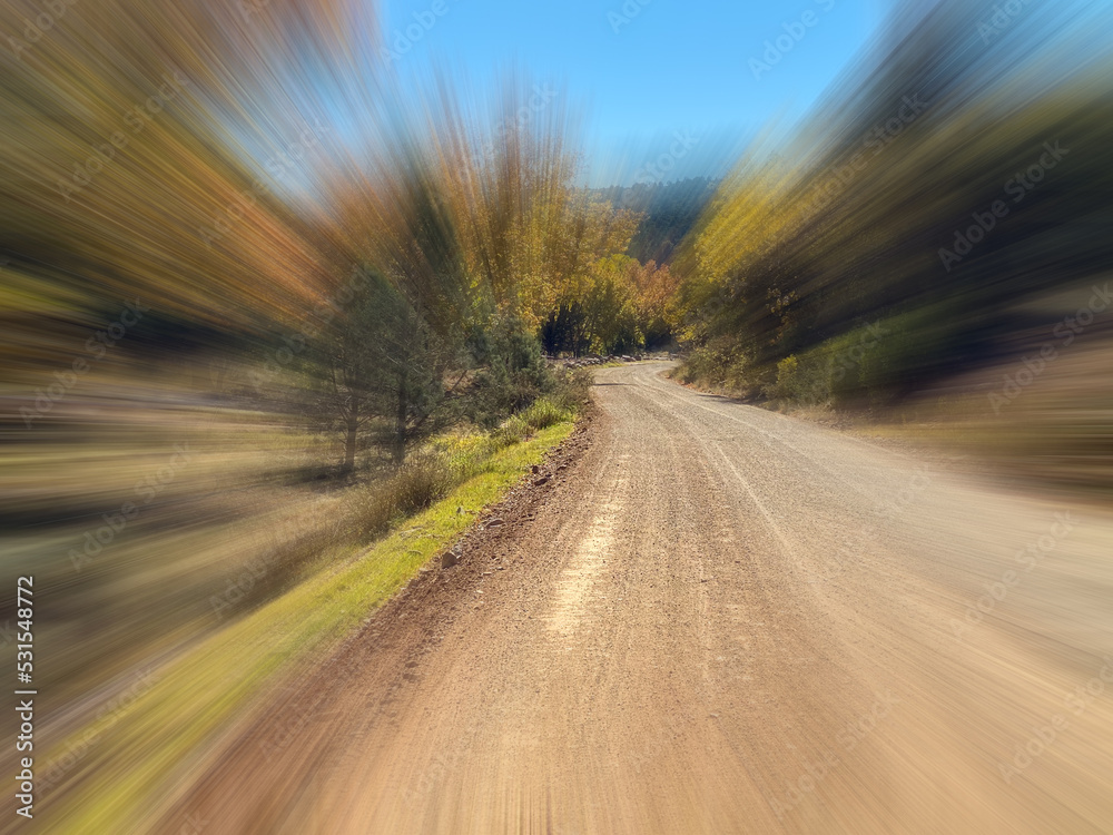 Zoom and speed on road through the forest at Autumn