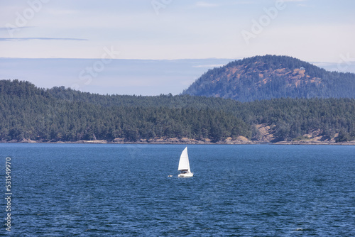 Sailboat in Canadian Landscape by the ocean and mountains