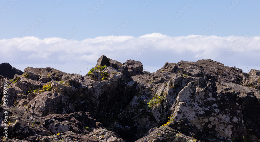 Rugged Rocks on a rocky shore on the West Coast of Pacific Ocean.