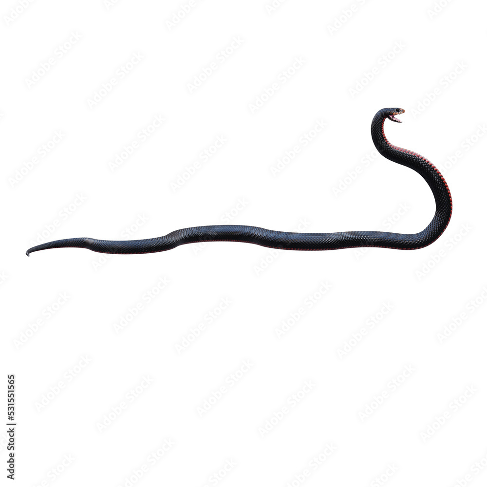 Red bellied black snake 3D illustration