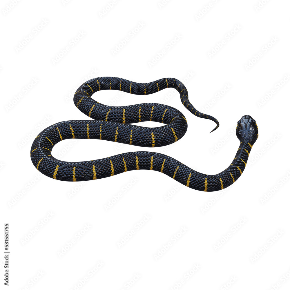 Fototapeta premium Mangrove snake 3D illustration