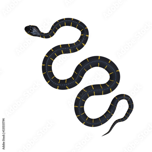 Mangrove snake 3D illustration