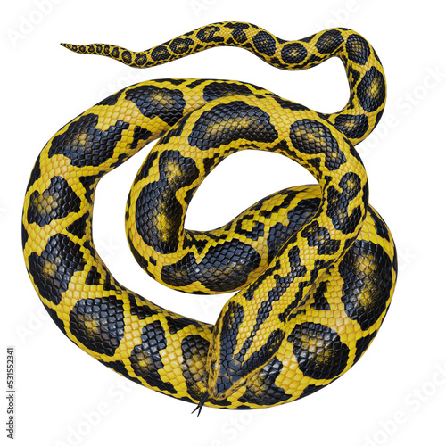 Yellow anaconda 3D illustration © DibiaDigital