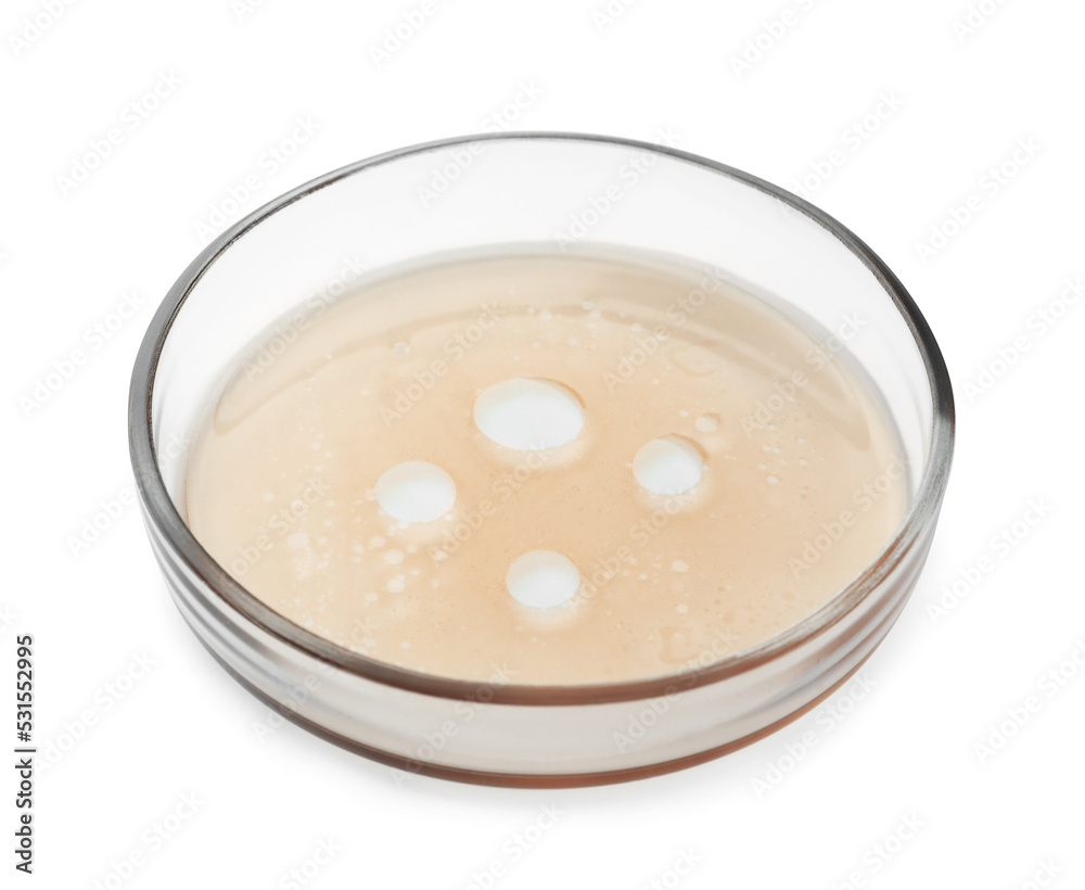 Petri dish with beige liquid isolated on white Petri dish with beige liquid isolated on white