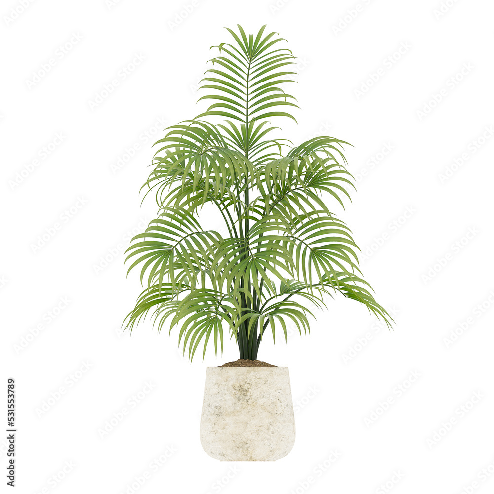 Plant, Plant PNG, Download Plant Transparent Background