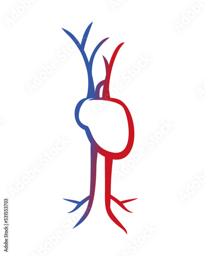 vector lines cardiovascular system icon, logo, symbol, simplification