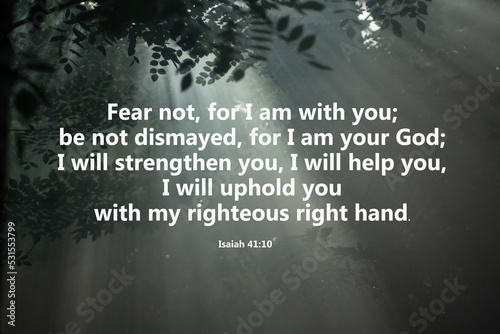 Bible verse - Fear not, for I am with you, be not dismayed, for I am your God. I will strengthen you, i will help you, I will uphold you with my righteous right hand. Isaiah 41:10 On rays in the wood. photo