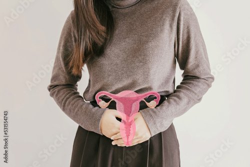 woman with uterus, female reproductive system , woman health, PCOS, fertility screening and cervical cancer concept photo