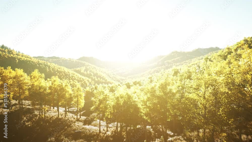 View on autumn forest in mountains and blue sky of Switzerland