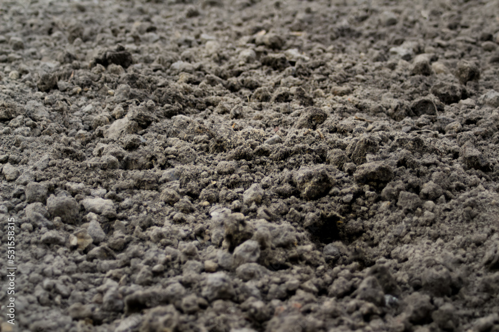 Defocus black land for plant background. Side view. Agriculture concept. Blurred. Copy space. Out of focus Defocus black land for plant background. Side view. Agriculture concept. Blurred. Copy space. Out of focus