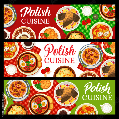 Polish cuisine meals banners. Fish with spice sauce, schnitzel and sauerkraut meat stew bigos, Babka cake, rolls Golabki and sausage soup Bialy Barszcz, potato dumplings Kopytka, polish coffee