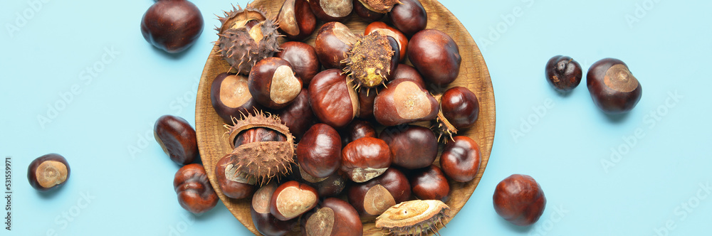 Plate with chestnuts on light blue background Plate with chestnuts on light blue background