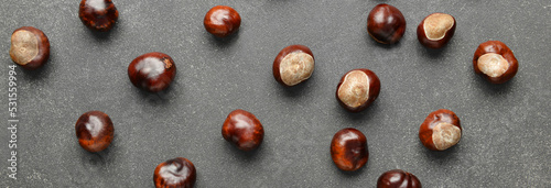 Many chestnuts on dark background, top view