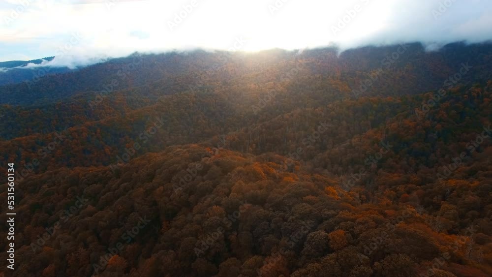 Sunset over autumn Appalachian mountain range and forest trail during peak color near the Tennessee border shot arial view with a drone 