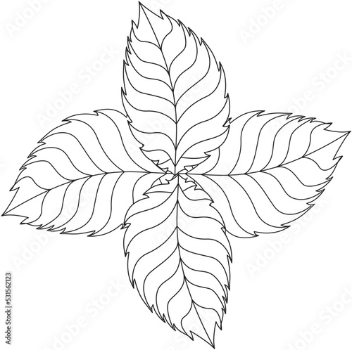 Ocimum gratissimum scent leaf vector icon black and white
