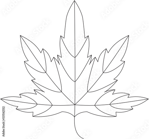 Platanus occidentalis sycamore leaf vector icon black and white

