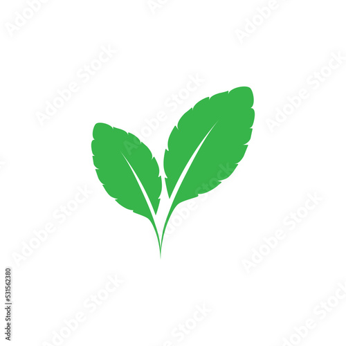 Mint leaves icon logo template vector